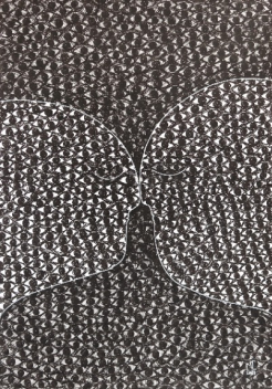 Melissa Chalhoub: Beware The Eyes