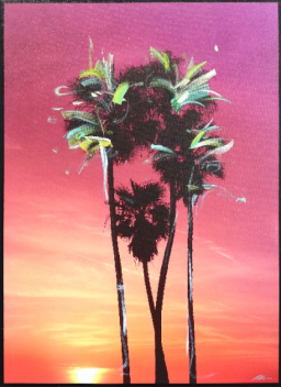 Pete Kasprzak: Palms 2 - Dusktime in L.A.