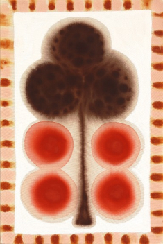 Meredith Walker: Dotted Clover