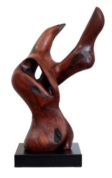 Joe Garnero: Together Bound image 1