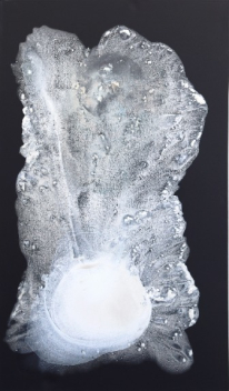 Clara Berta: Winter In White