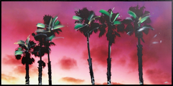Pete Kasprzak: Beach City Palms - Night Hits