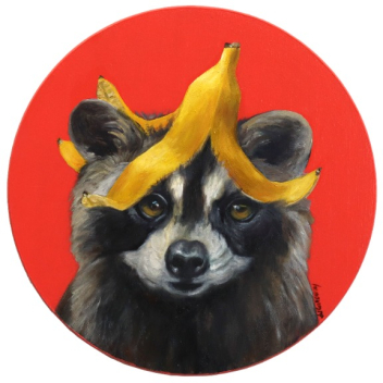 JJ Galloway: Raccoon with Banana Bangs