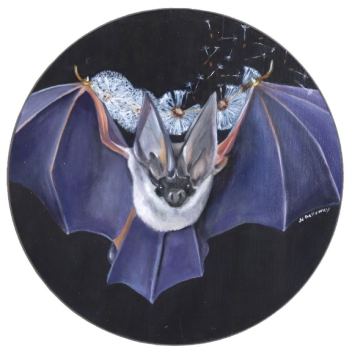 JJ Galloway: Dandelion Bat
