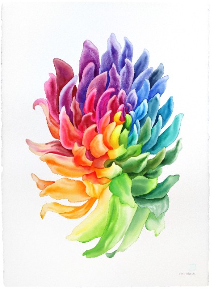 Xiao Wen Xu: Rainbowland Chrysanthemum II image 1