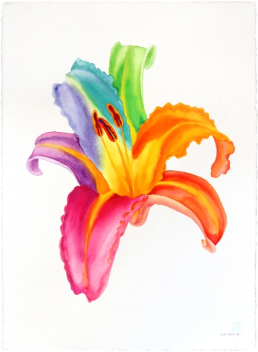 Xiao Wen Xu: Rainbowland Daylily