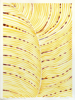 Heidi Lowell: Vietnam Pigment Study: Gardenia Fruit + Iron Oxide