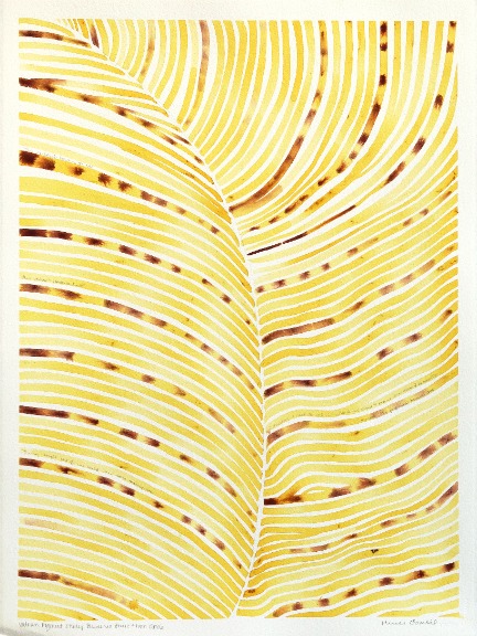 Heidi Lowell: Vietnam Pigment Study: Gardenia Fruit + Iron Oxide image 1