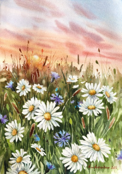 Anna Kudriashova: Sunset Daisies