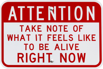 Scott Froschauer: Attention: Take Note IV