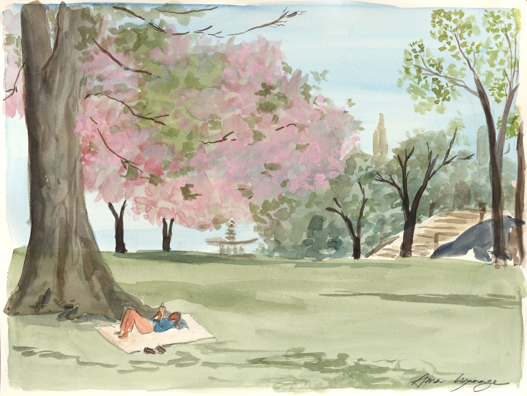 Ama Liyanage: Picnic image 1