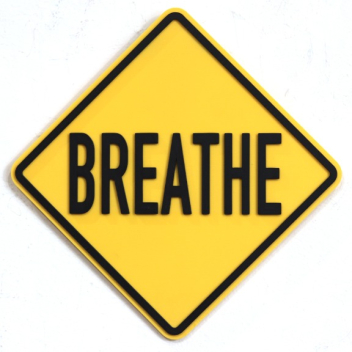 Scott Froschauer: Breathe V (mini)
