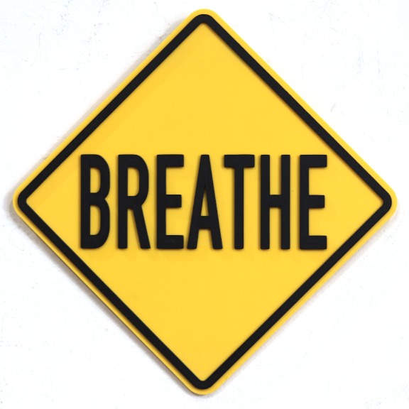 Scott Froschauer: Breathe V (mini) image 1
