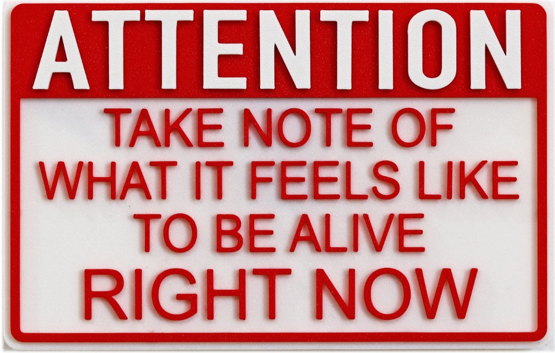 Scott Froschauer: Attention: Take Note IV (mini) image 1