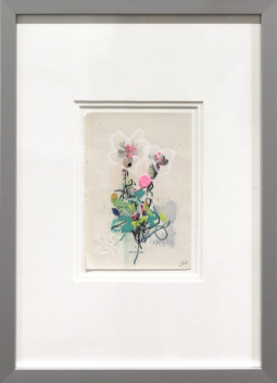 Lee Herring: Sea Campion