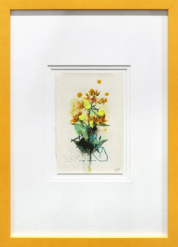 Lee Herring: Yellow Loose-Strife