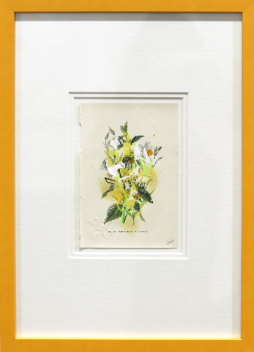 Lee Herring: Yellow Dead-Nettle, Stitchwort