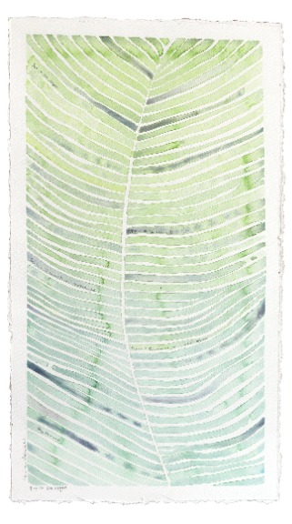 Heidi Lowell: Let It Be Light image 1