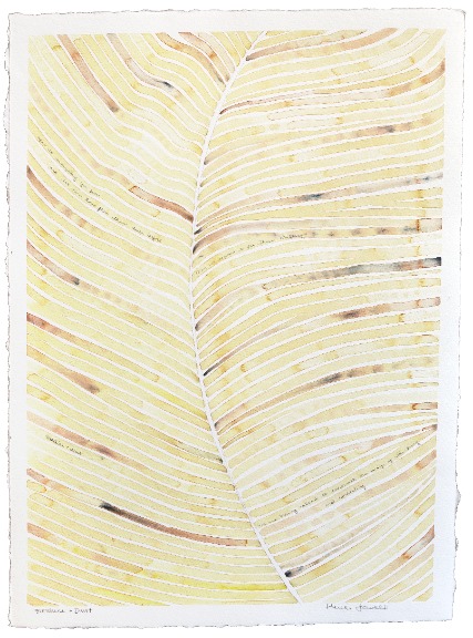 Heidi Lowell: Sunshine and Dust image 1