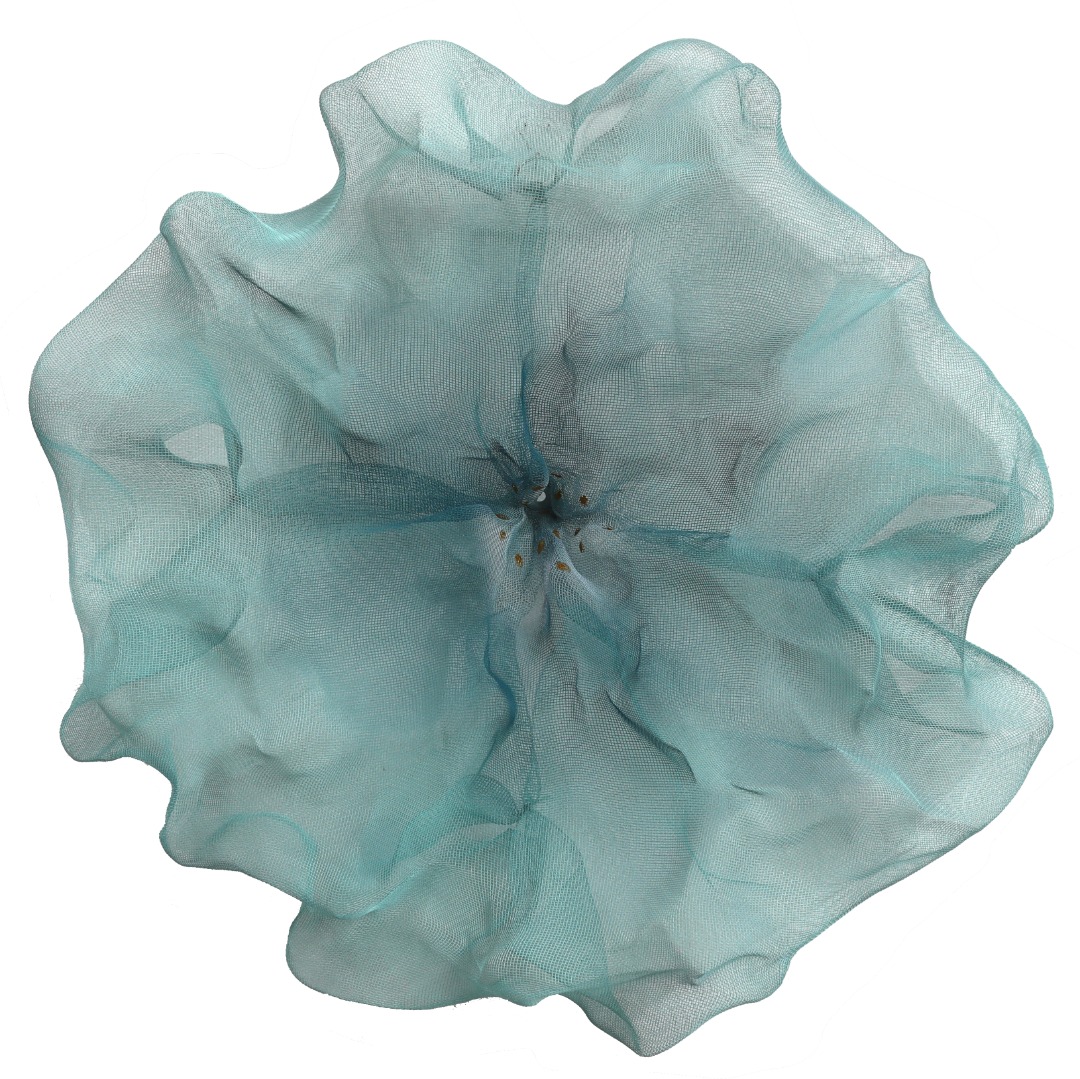 Atticus Adams: Cotton Candy Cumulus 8:10 image 1