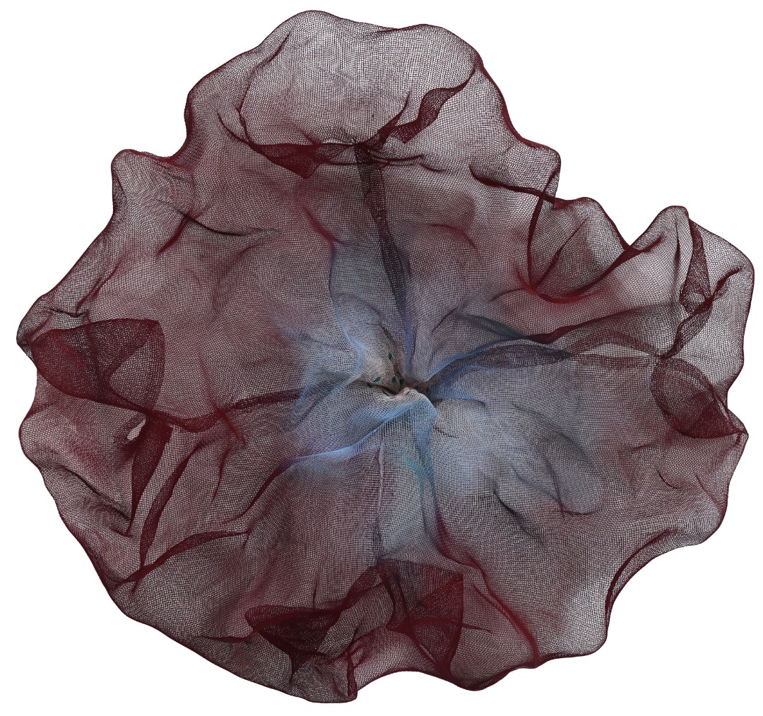 Atticus Adams: Cotton Candy Cumulus 8:52 image 1