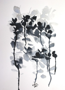 Sally K: Shadow Play