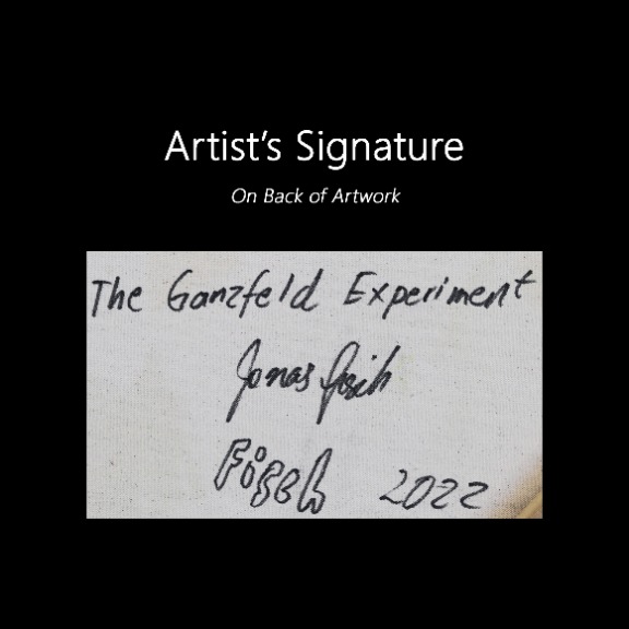 Jonas Fisch: The Ganzfeld Experiment image 10