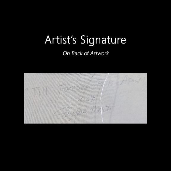 Taylour Martin: Till Forever Falls Apart image 10
