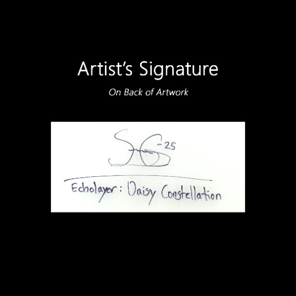 Soren Grau: EchoLayer: Daisy Constellation image 10