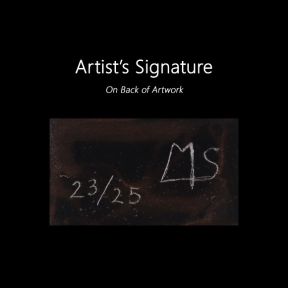 Mireia Serra: Beyond the Page 23/25 image 10