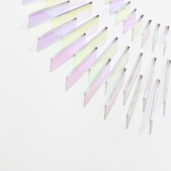 Chris Wood: Allium image 2