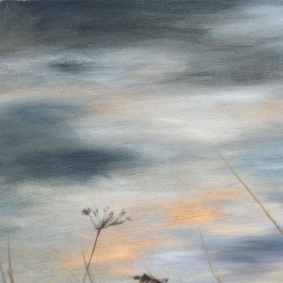 Amber Young: The Back Field 2 image 2