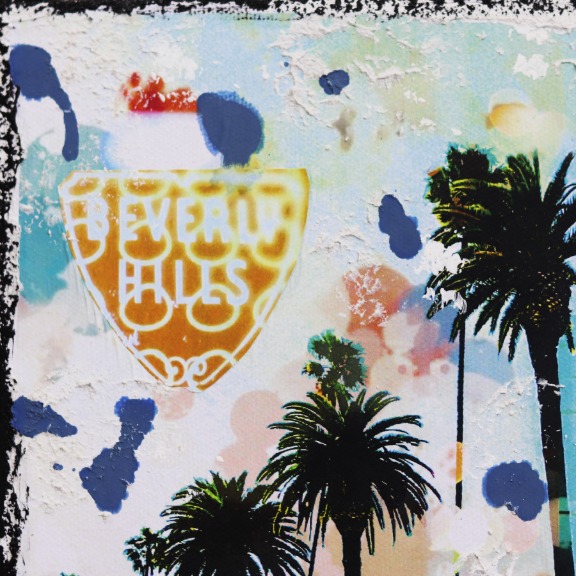 Marion Duschletta: West Hollywood Palms image 2