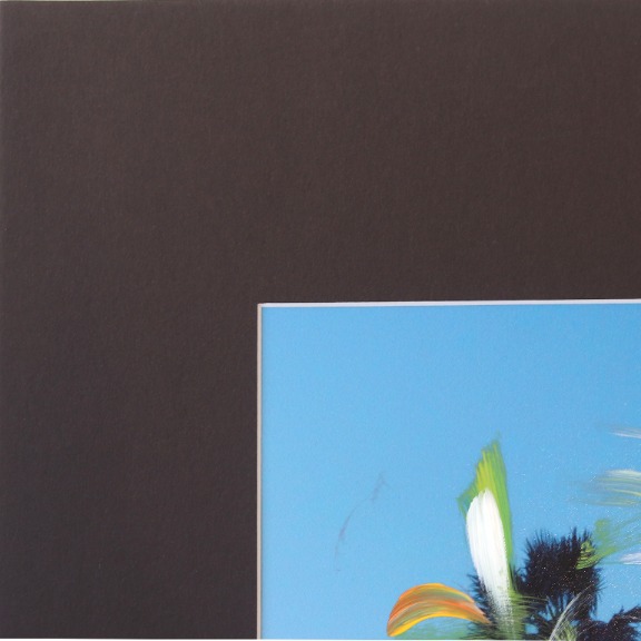Pete Kasprzak: Santa Barbara Sky High Palms I image 2