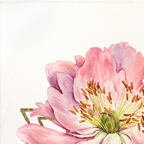 Anna Kudriashova: Triangle of Peonies image 2