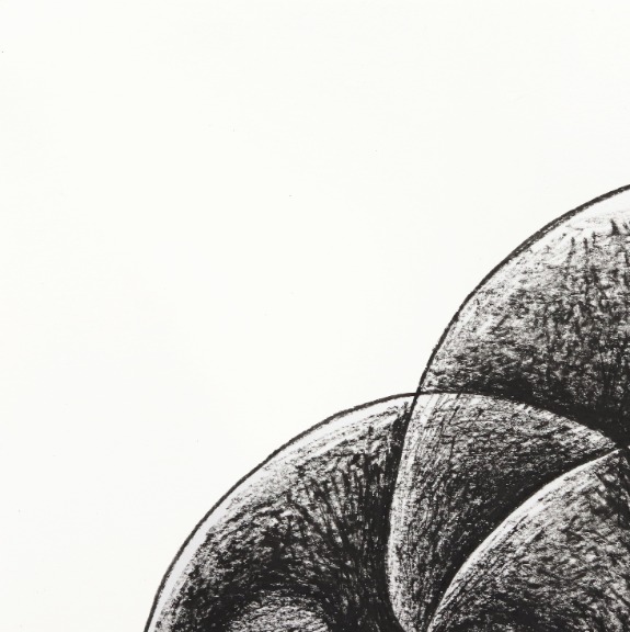 Melissa Chalhoub: Rooted image 2