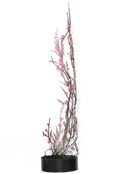 Darcy Bellamy: Ancient Cherry Blossoms image 2