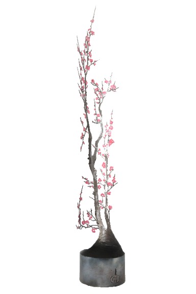 Darcy Bellamy: Winter Blossoms image 2