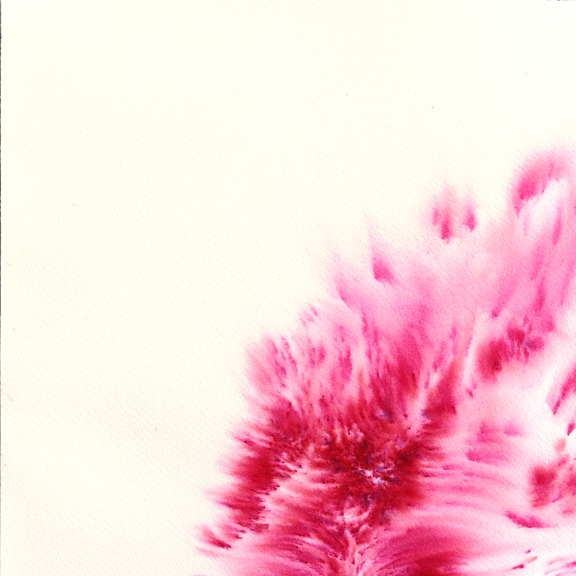 Xiao Wen Xu: Spider Flower image 2
