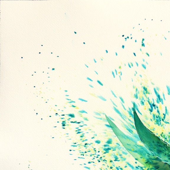 Xiao Wen Xu: Aloe Vera image 2