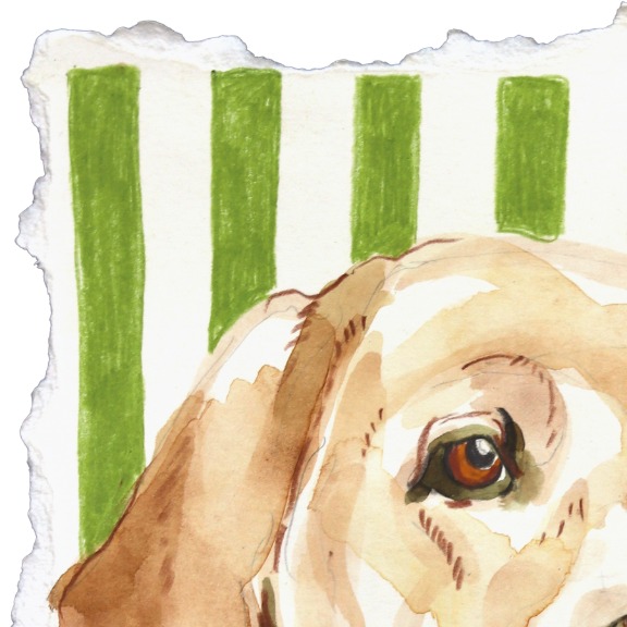 Kellie Newsome: Labradorable image 2