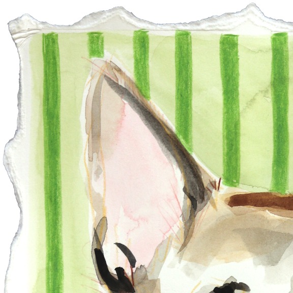 Kellie Newsome: Loyal Shepherd image 2