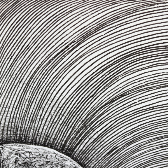 Melissa Chalhoub: The All Knowing Eye image 2