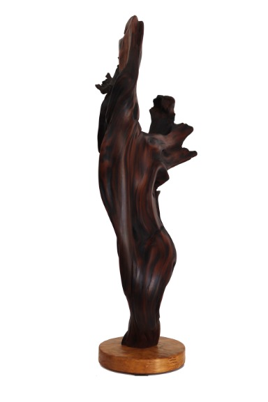 Joe Garnero: Deep Roots image 2