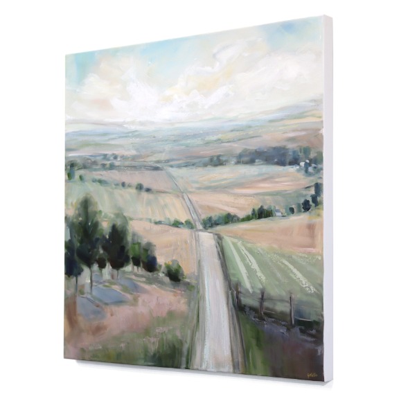 Jodi Miller: Following Dreams image 2