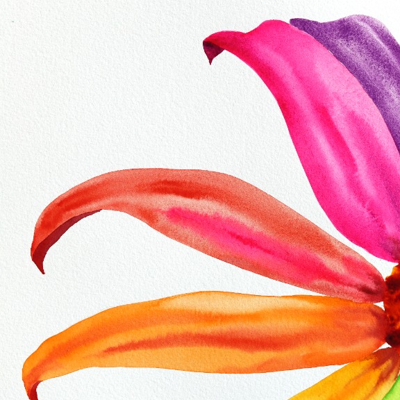Xiao Wen Xu: Rainbowland Coneflower image 2