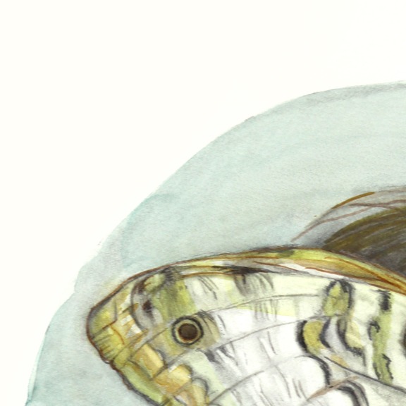 Amanda Immurs: A Moment Where Wonder Takes Over image 2