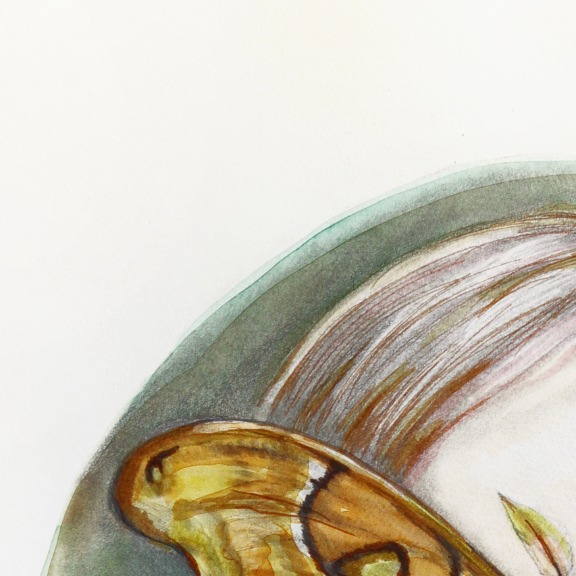 Amanda Immurs: Quietly Transform image 2