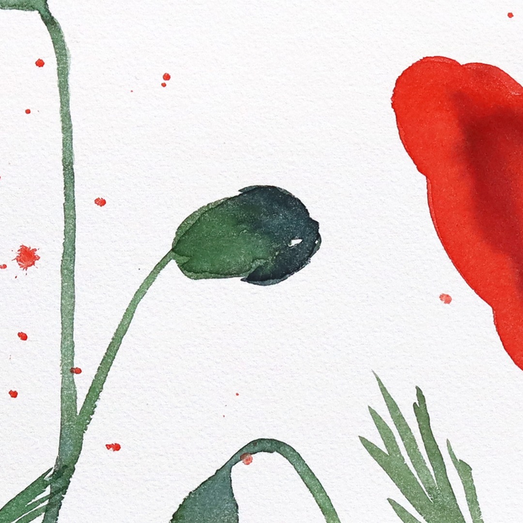 Xiao Wen Xu: Poppies II image 2