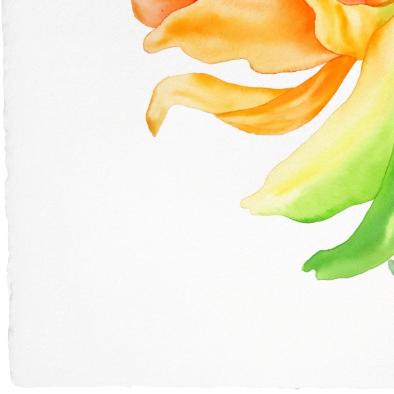 Xiao Wen Xu: Rainbowland Chrysanthemum II image 2